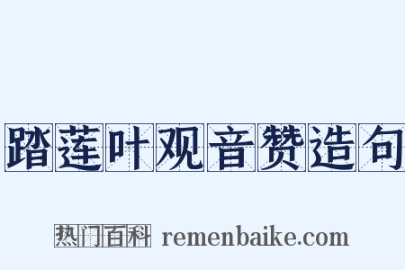 踏莲叶观音赞造句是什么意思的图片